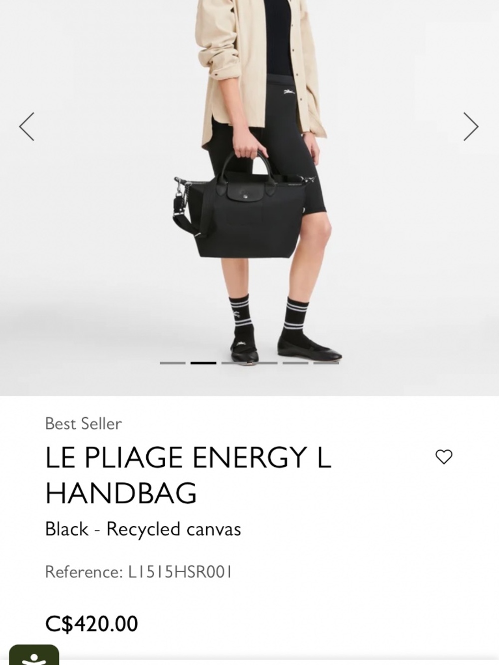 Longchamp Bag